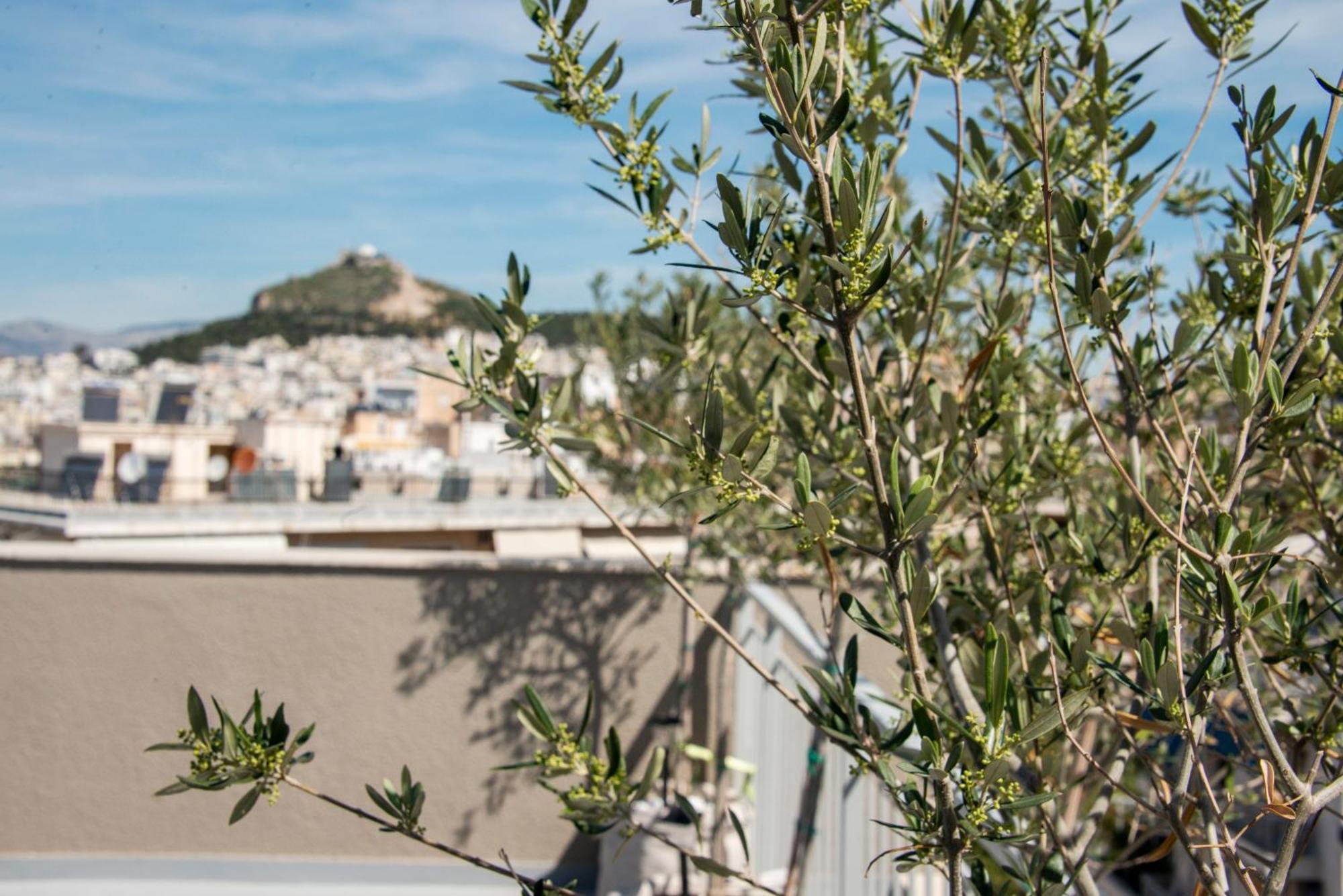 The Athenian Oasis Apartman Kültér fotó